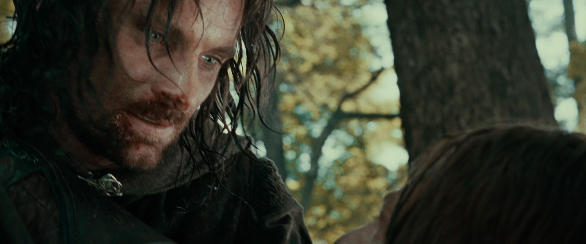 The Lord of the Rings: The Fellowship of the Ring (2001) movie still 22849