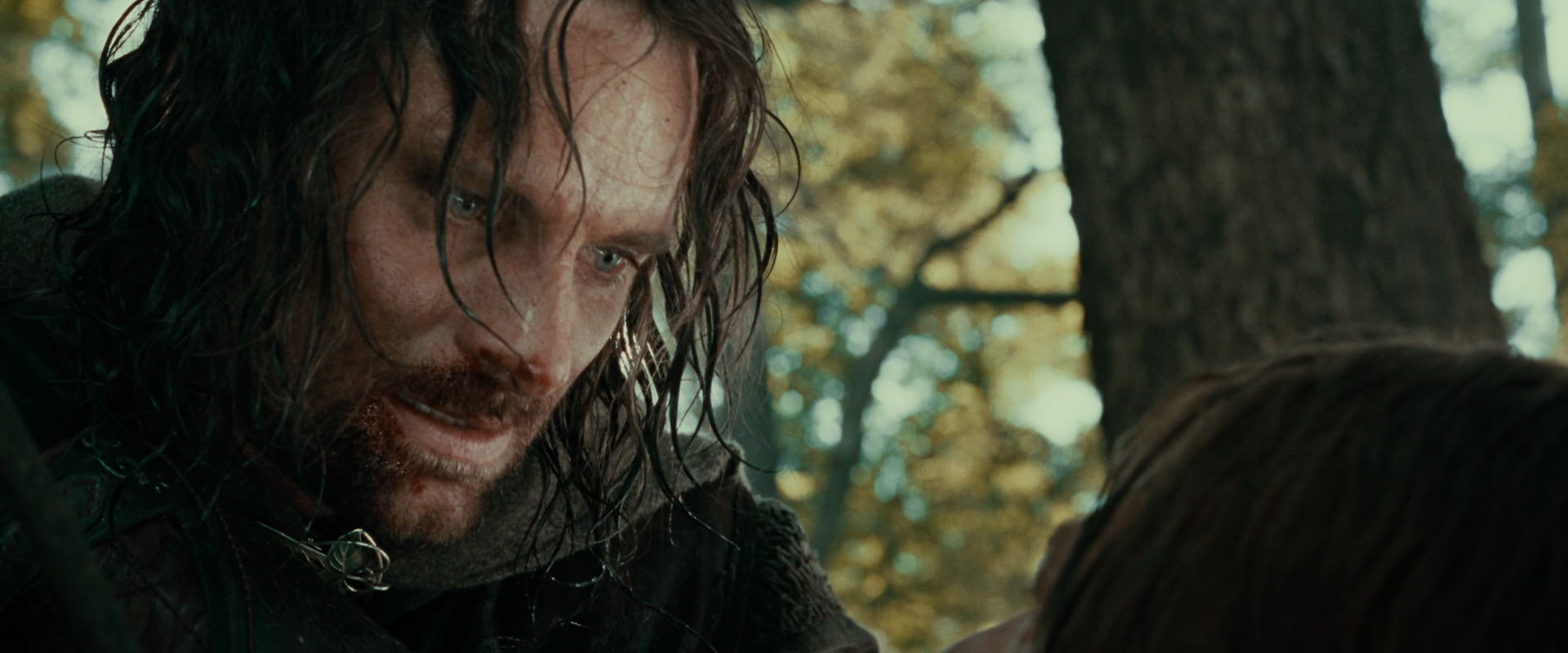 The Lord of the Rings: The Fellowship of the Ring (2001) screencap 22854