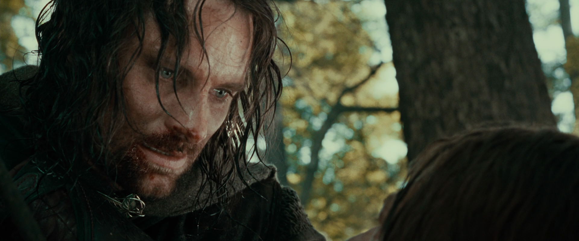 The Lord of the Rings: The Fellowship of the Ring (2001) movie still 22855
