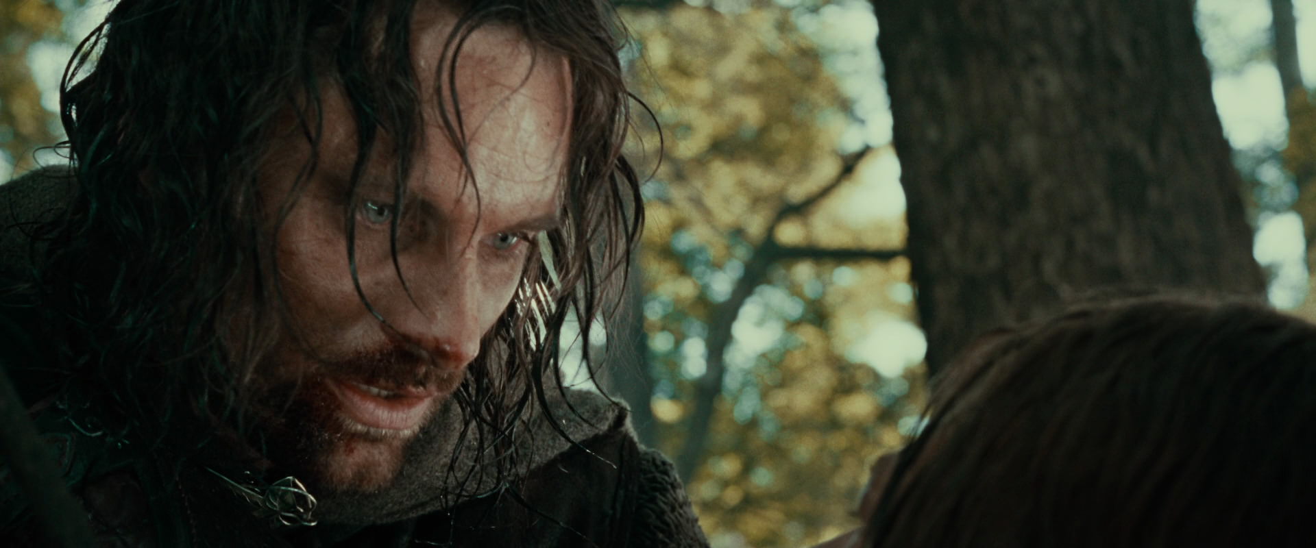 The Lord of the Rings: The Fellowship of the Ring (2001) HD screenshot 22856