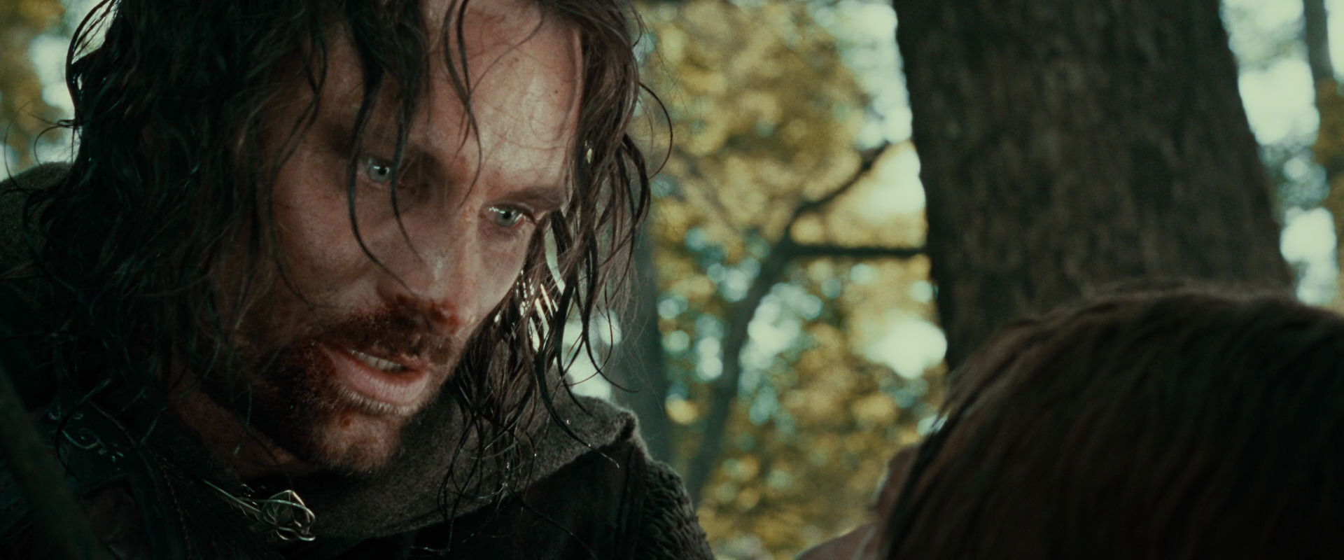 The Lord of the Rings: The Fellowship of the Ring (2001) screencap 22857