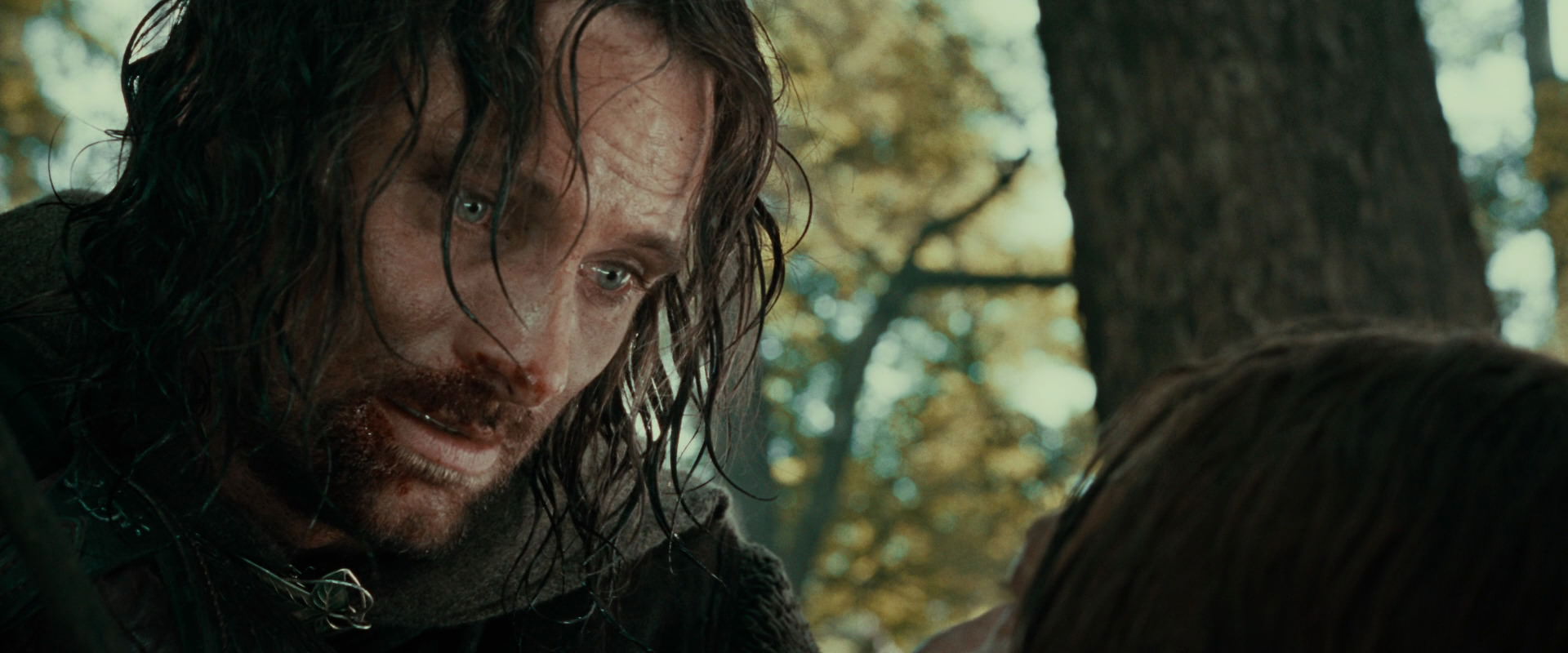 The Lord of the Rings: The Fellowship of the Ring (2001) screencap 22860
