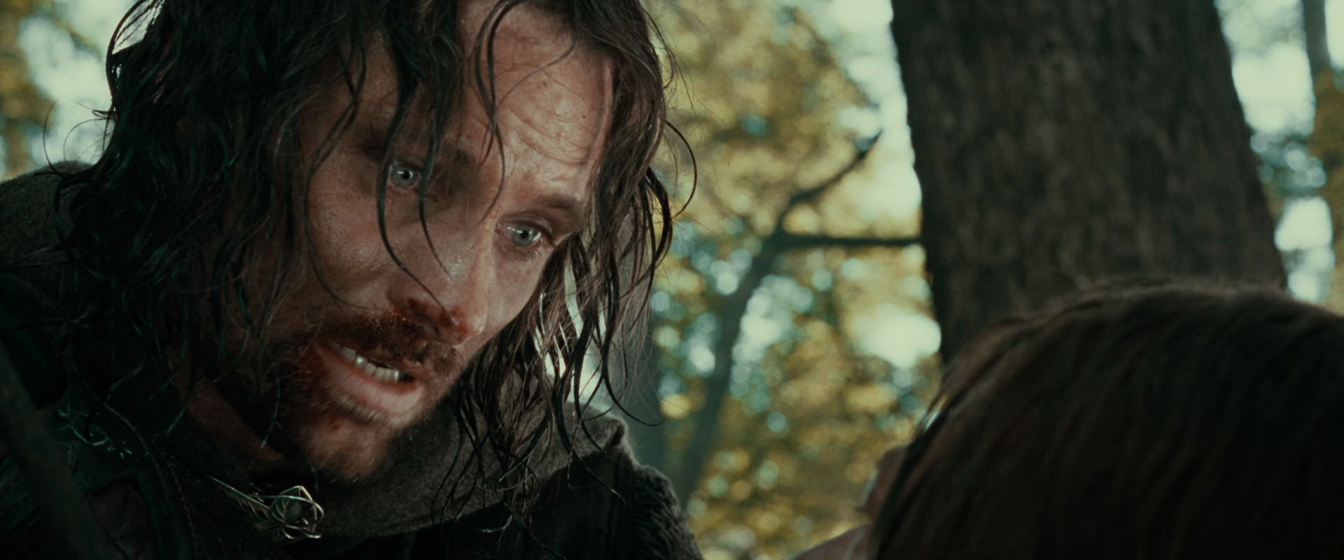 The Lord of the Rings: The Fellowship of the Ring (2001) movie still 22861