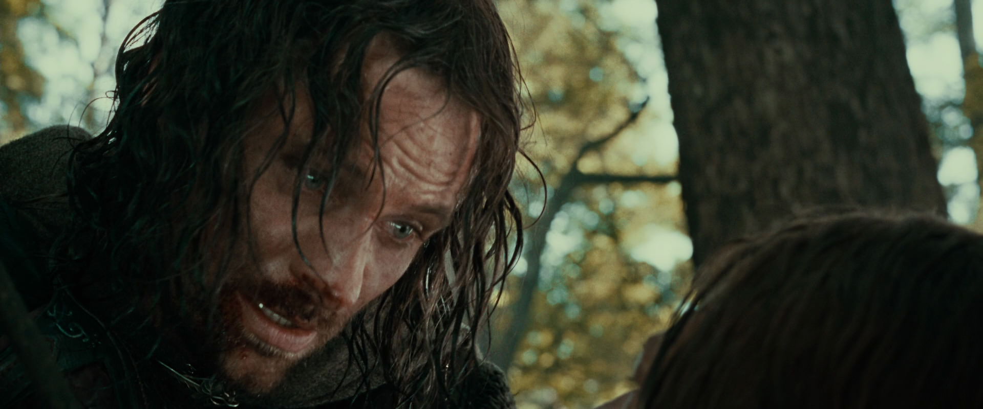 The Lord of the Rings: The Fellowship of the Ring (2001) HD screenshot 22862