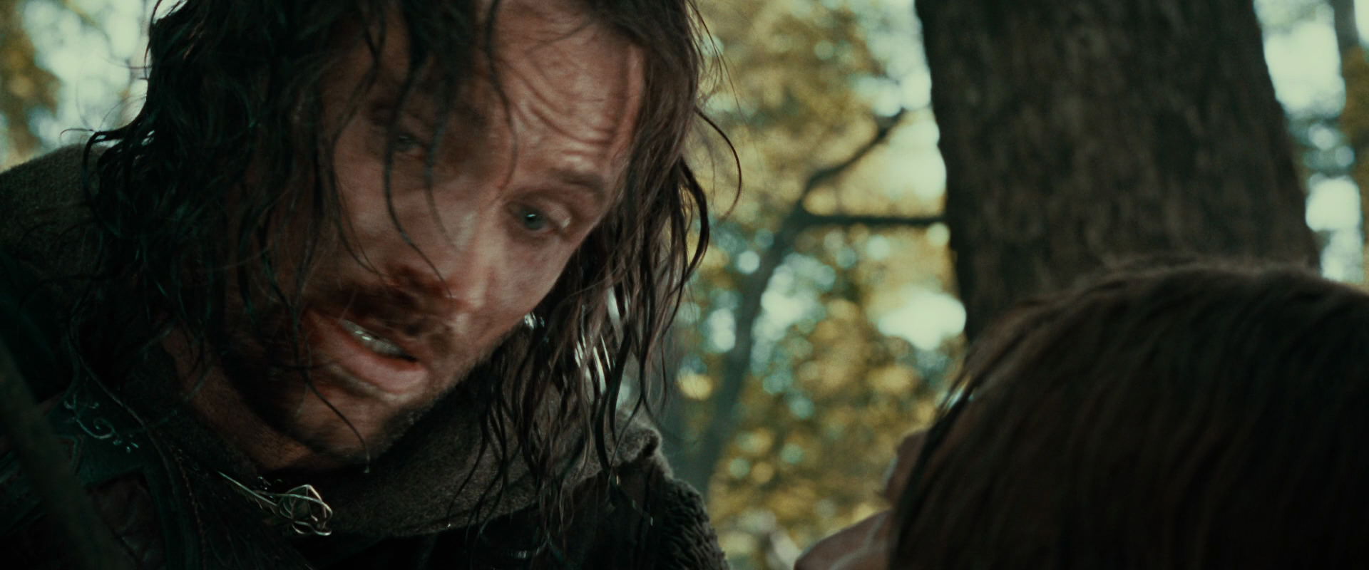 The Lord of the Rings: The Fellowship of the Ring (2001) screencap 22863
