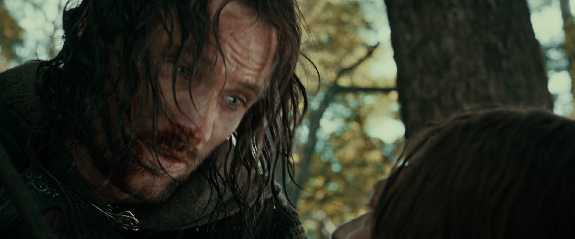 The Lord of the Rings: The Fellowship of the Ring (2001) movie still 22864