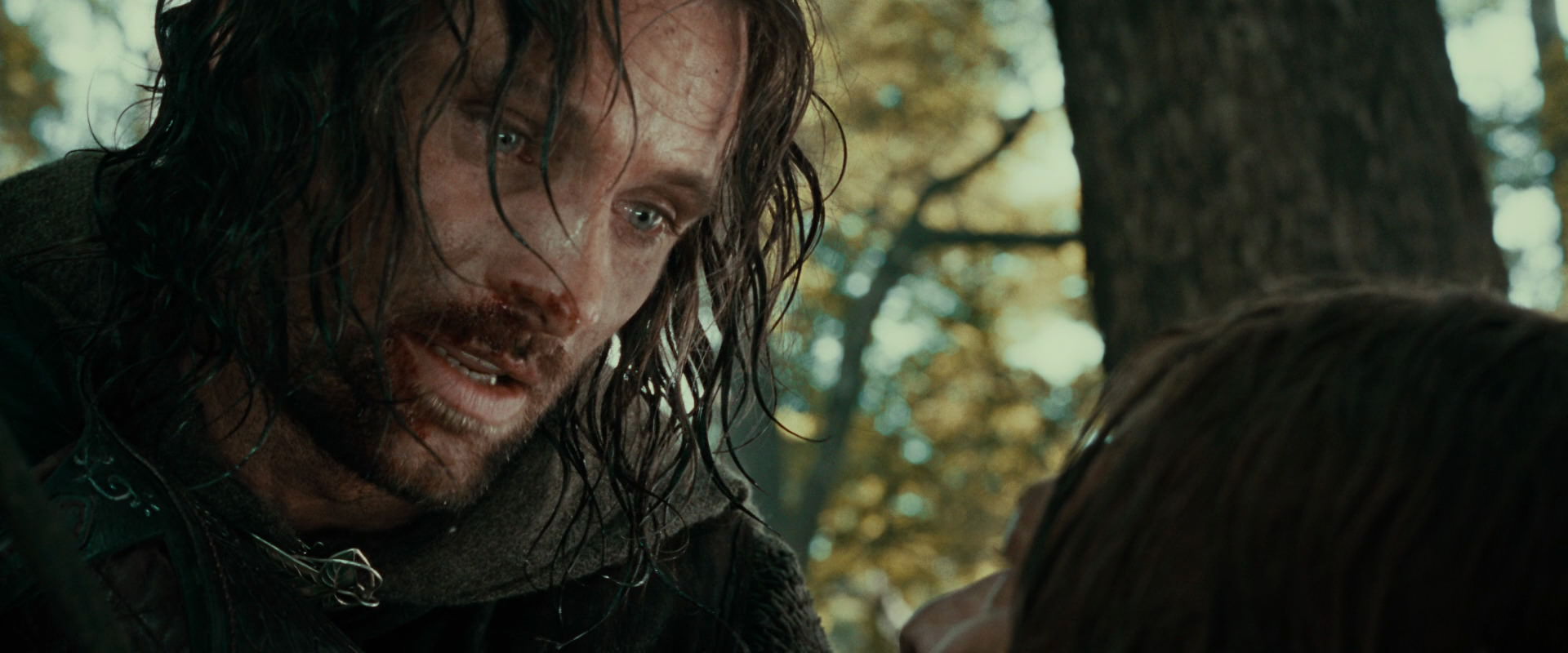 The Lord of the Rings: The Fellowship of the Ring (2001) HD screenshot 22865