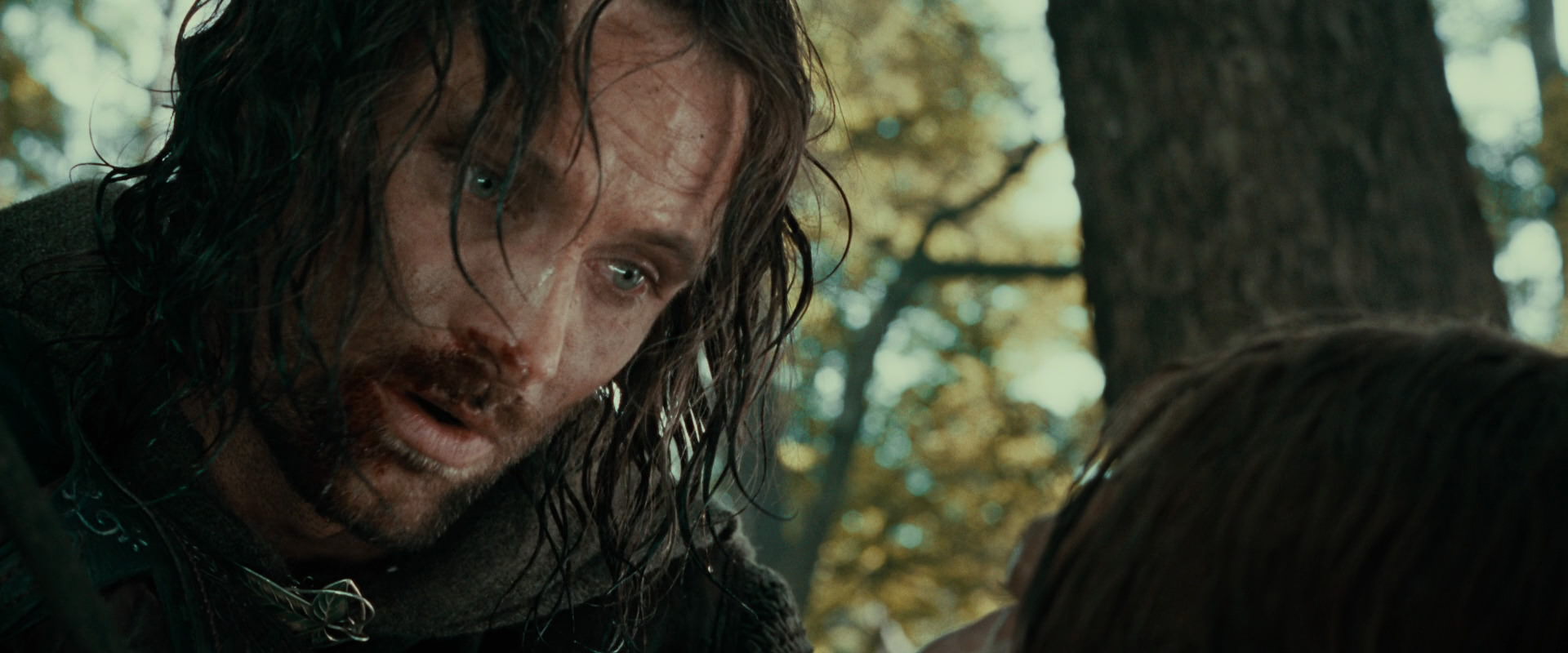 The Lord of the Rings: The Fellowship of the Ring (2001) HD screenshot 22871