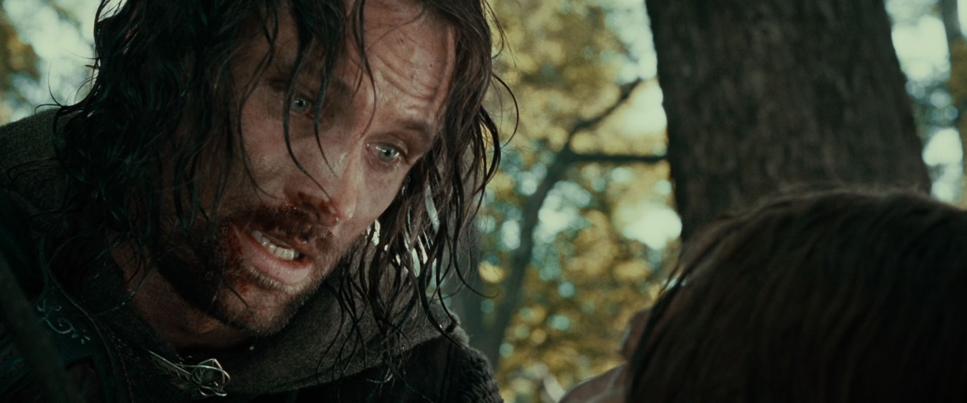 The Lord of the Rings: The Fellowship of the Ring (2001) screencap 22872