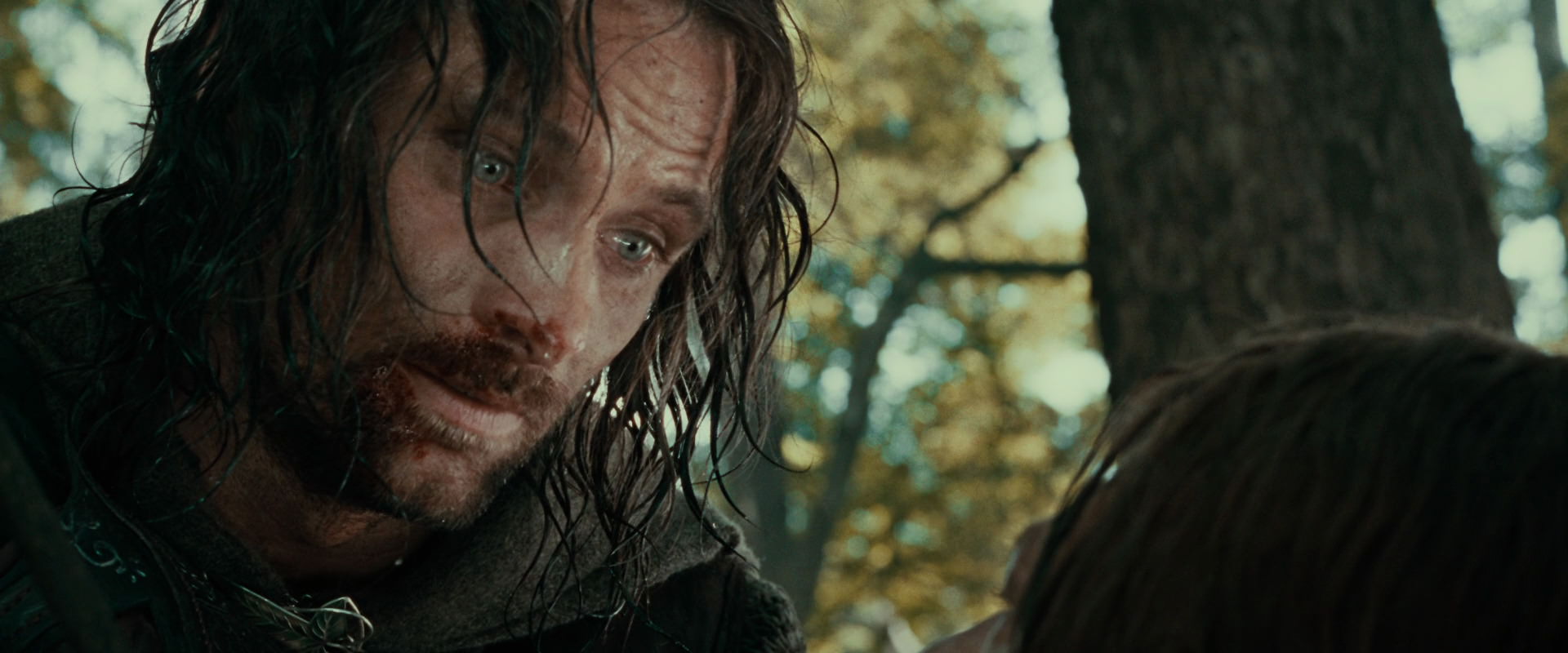 The Lord of the Rings: The Fellowship of the Ring (2001) HD screenshot 22874