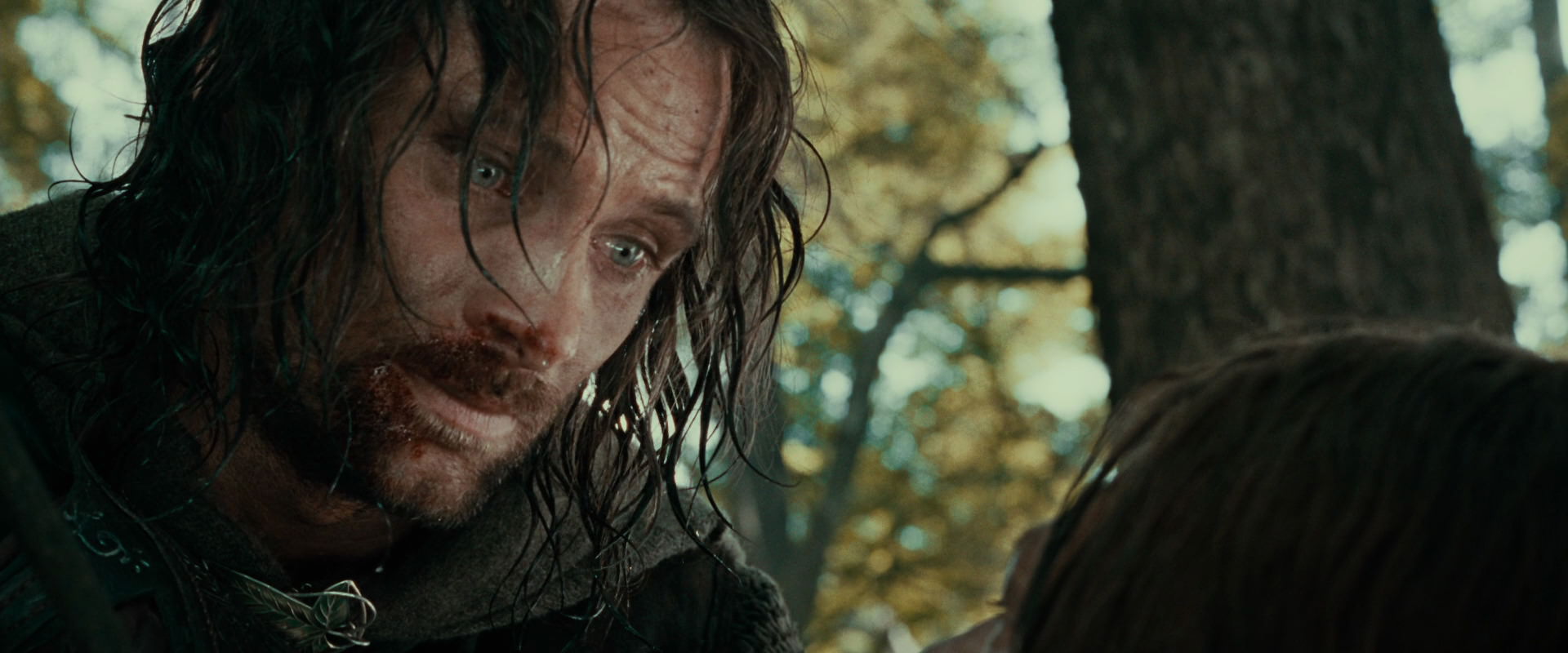The Lord of the Rings: The Fellowship of the Ring (2001) screencap 22875