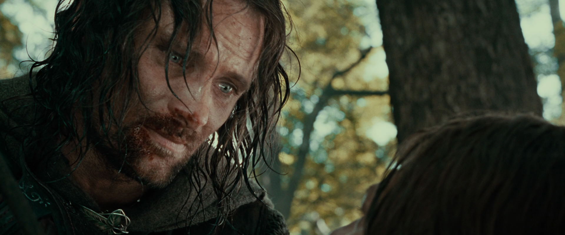 The Lord of the Rings: The Fellowship of the Ring (2001) screencap 22881