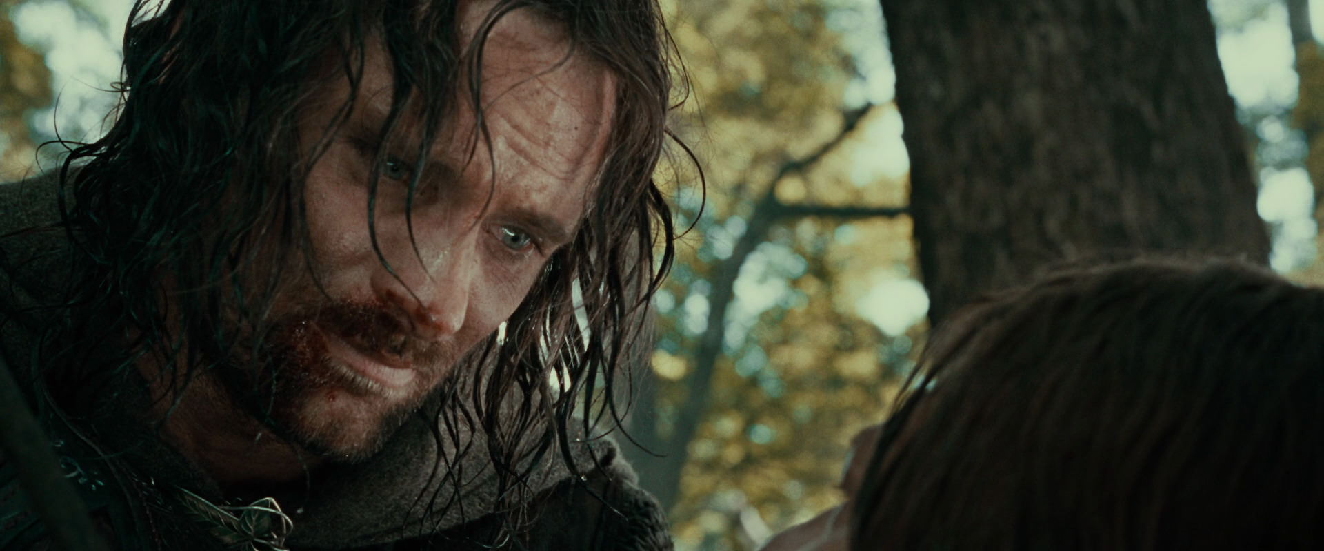 The Lord of the Rings: The Fellowship of the Ring (2001) movie still 22882