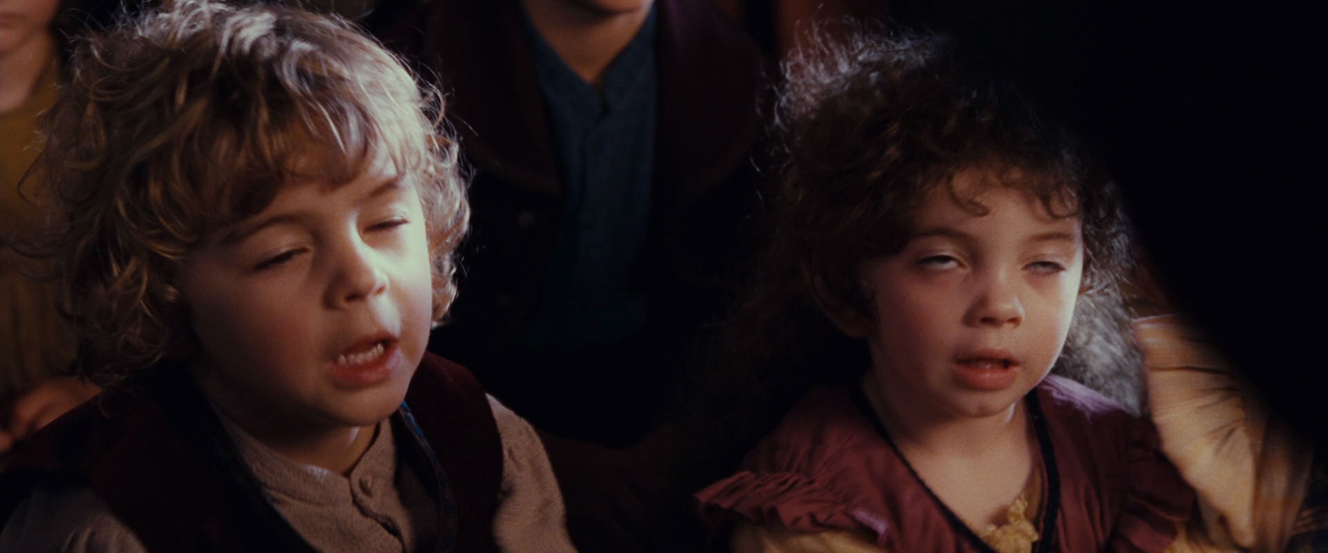 The Lord of the Rings: The Fellowship of the Ring (2001) screencap 2289