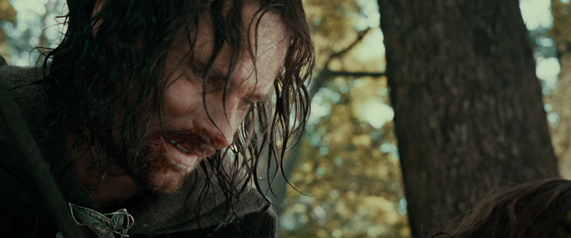 The Lord of the Rings: The Fellowship of the Ring (2001) screencap 22899