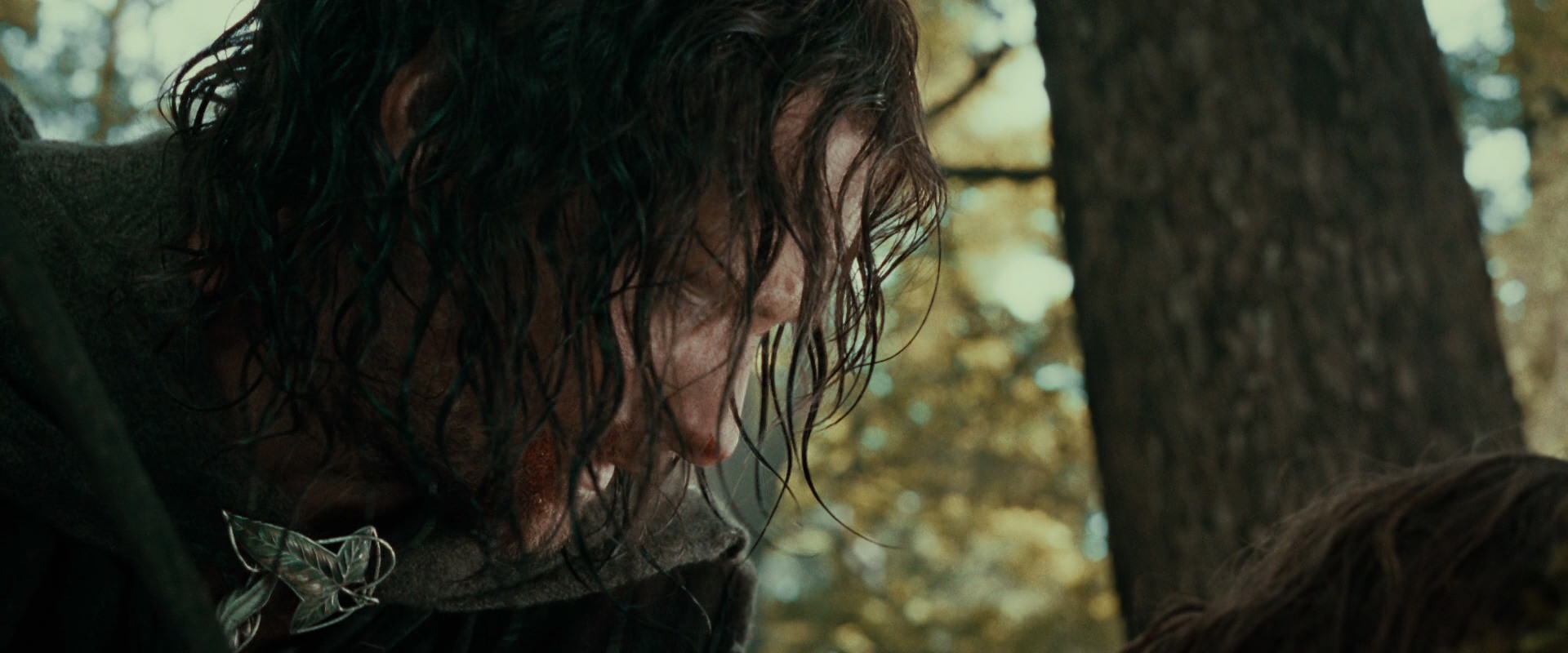 The Lord of the Rings: The Fellowship of the Ring (2001) movie still 22900