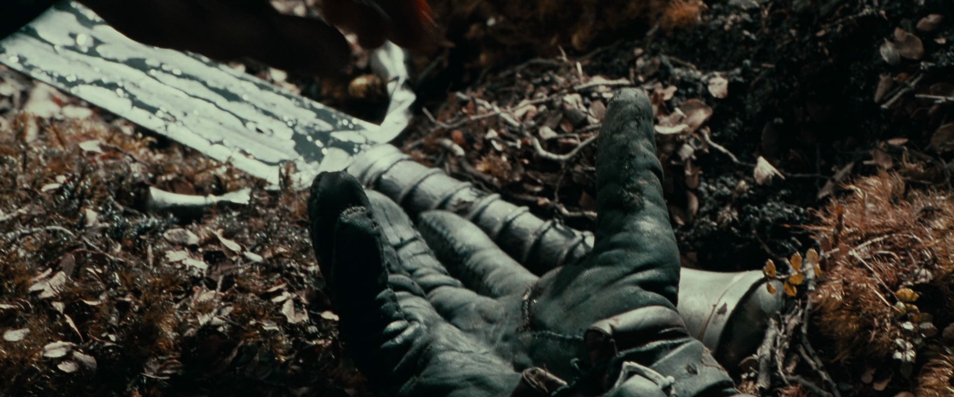 The Lord of the Rings: The Fellowship of the Ring (2001) HD screenshot 22901