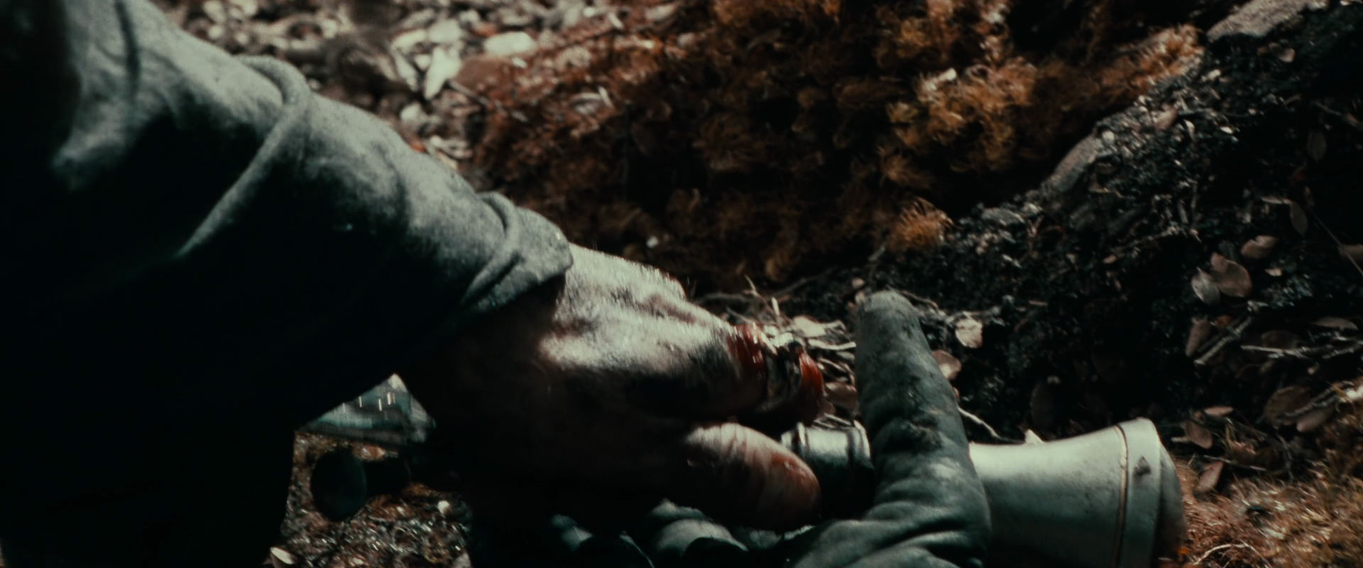 The Lord of the Rings: The Fellowship of the Ring (2001) screencap 22905