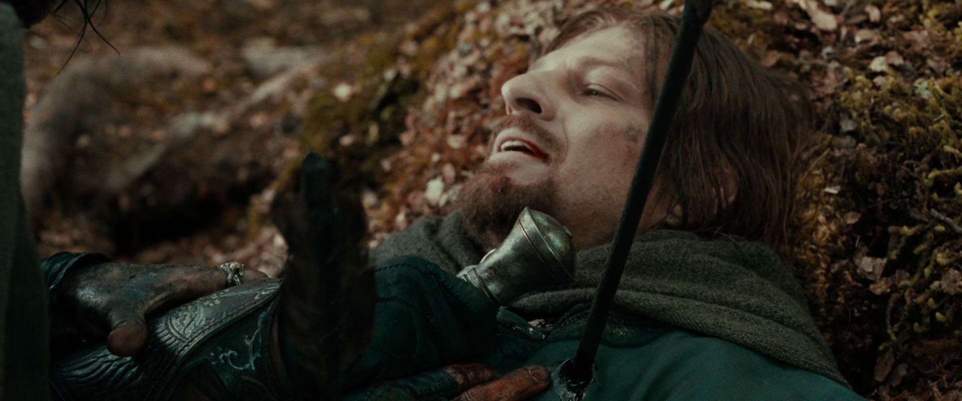 The Lord of the Rings: The Fellowship of the Ring (2001) screencap 22914