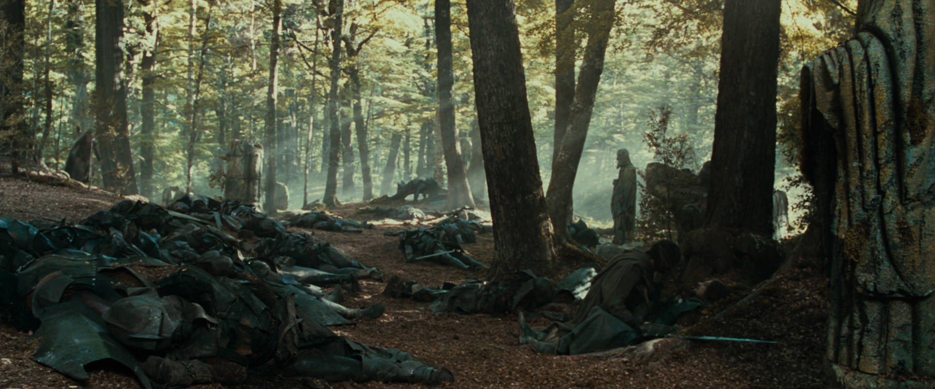 The Lord of the Rings: The Fellowship of the Ring (2001) HD screenshot 22916