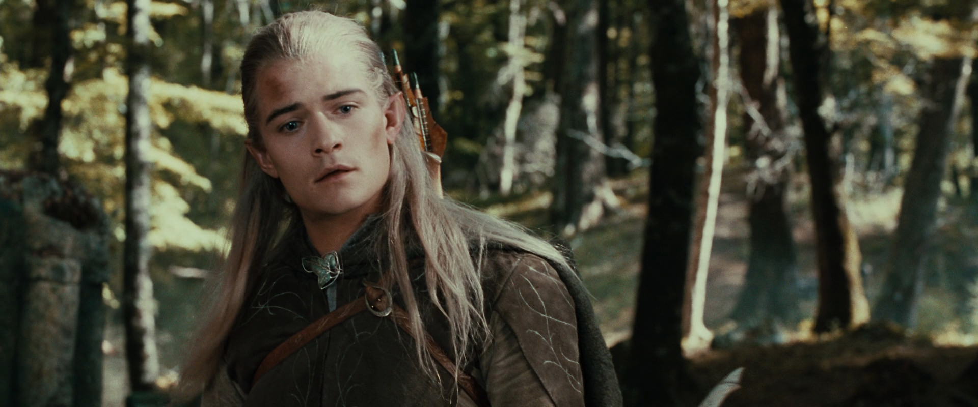 The Lord of the Rings: The Fellowship of the Ring (2001) screencap 22929