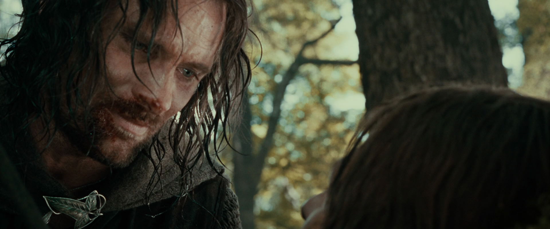 The Lord of the Rings: The Fellowship of the Ring (2001) HD screenshot 22931