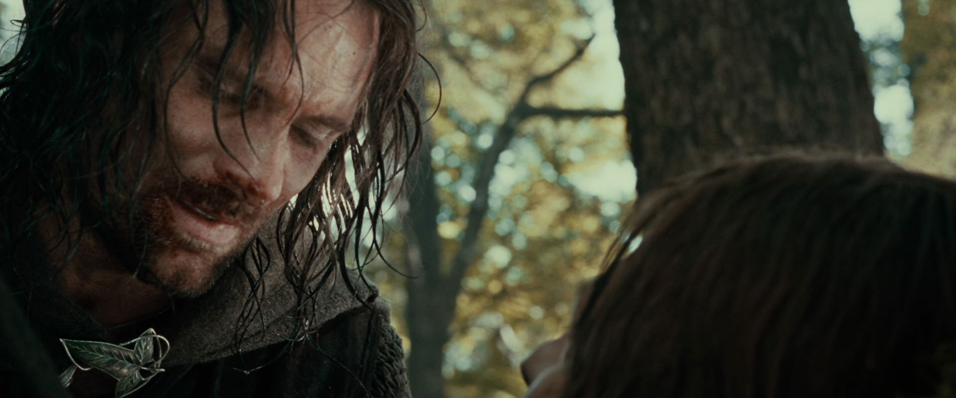 The Lord of the Rings: The Fellowship of the Ring (2001) screencap 22932