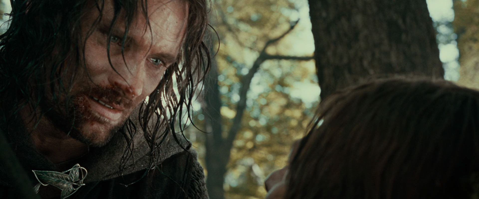 The Lord of the Rings: The Fellowship of the Ring (2001) movie still 22933