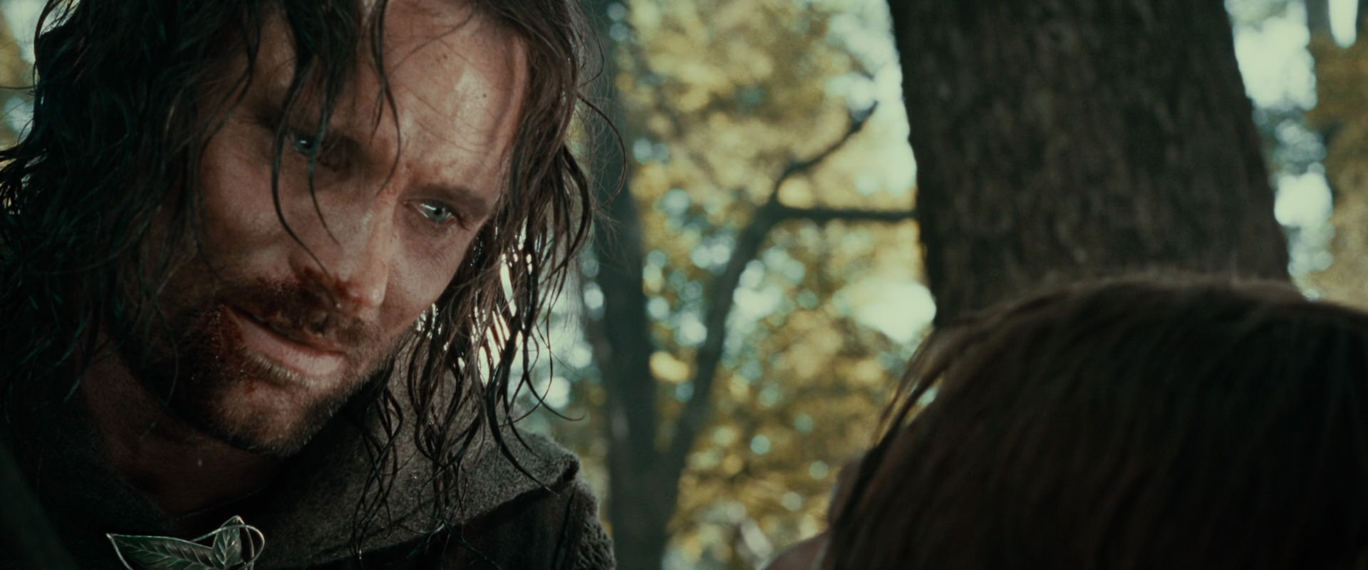 The Lord of the Rings: The Fellowship of the Ring (2001) HD screenshot 22940