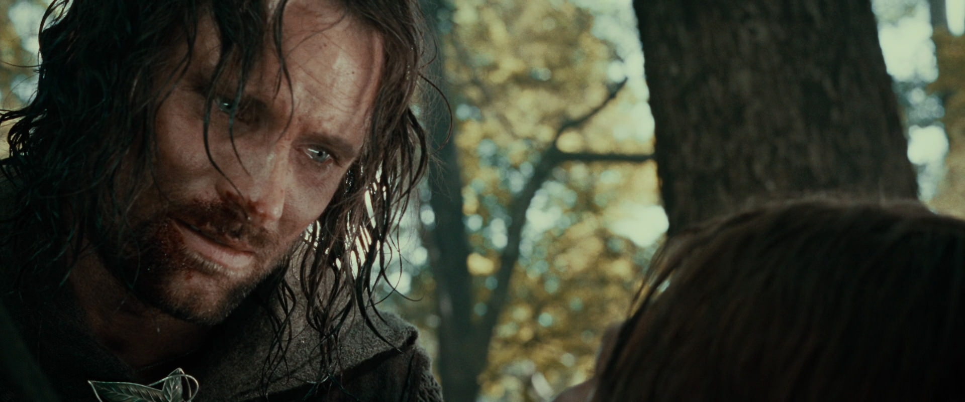 The Lord of the Rings: The Fellowship of the Ring (2001) screencap 22941