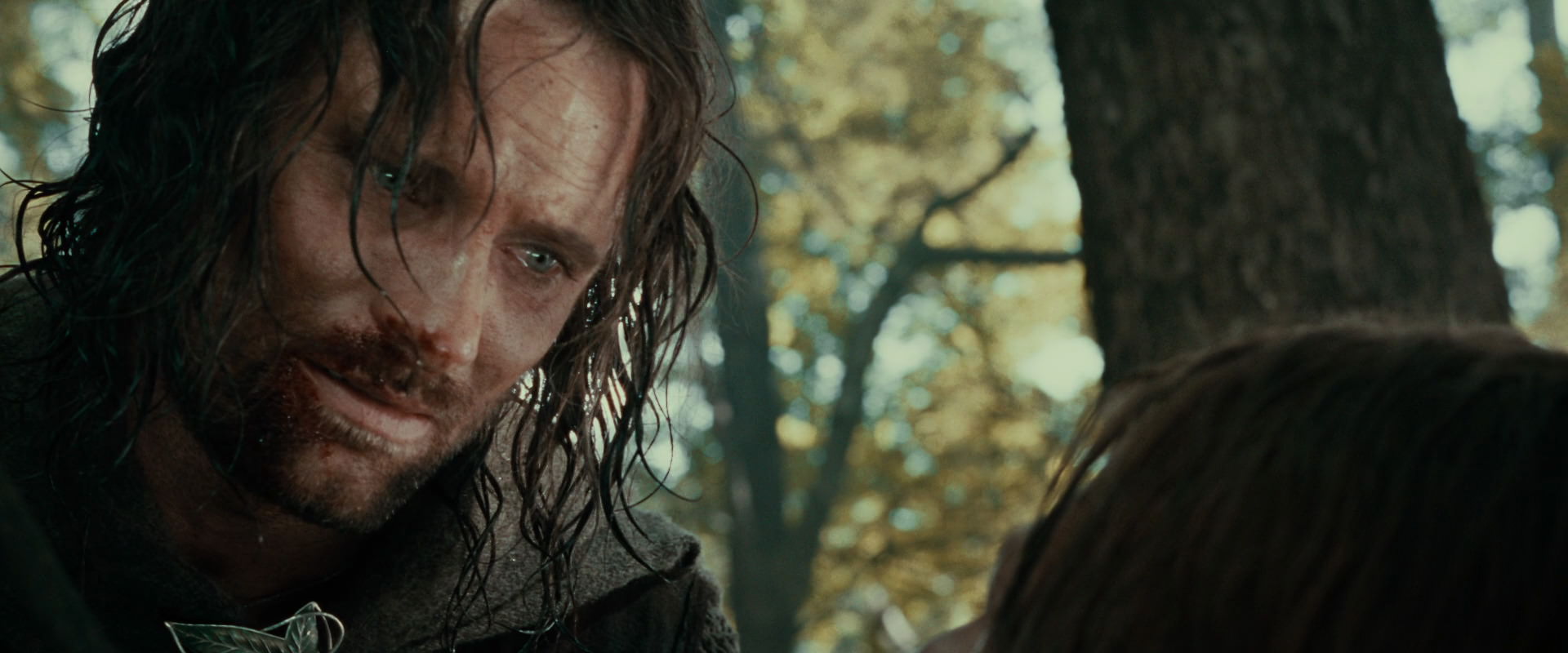 The Lord of the Rings: The Fellowship of the Ring (2001) HD screenshot 22943