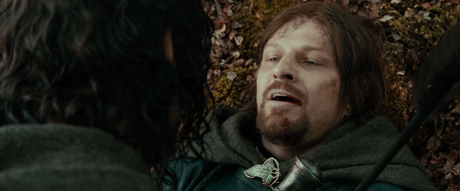 The Lord of the Rings: The Fellowship of the Ring (2001) screencap 22944