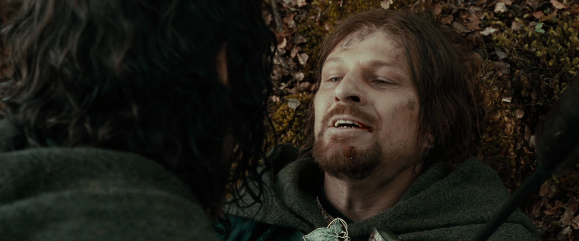 The Lord of the Rings: The Fellowship of the Ring (2001) screencap 22953