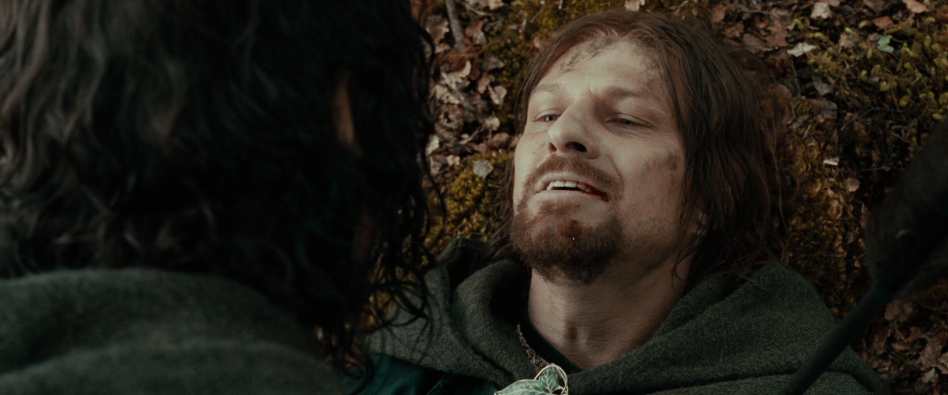 The Lord of the Rings: The Fellowship of the Ring (2001) screencap 22956