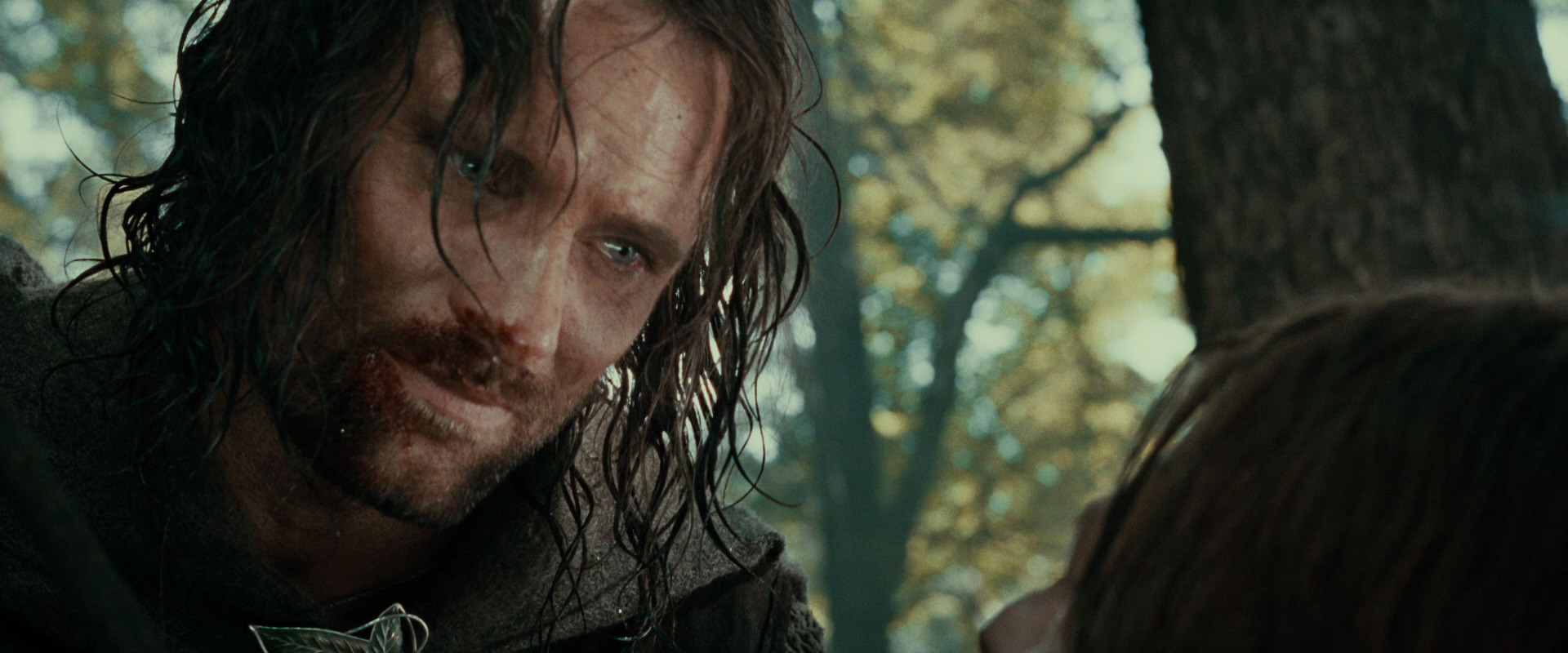 The Lord of the Rings: The Fellowship of the Ring (2001) HD screenshot 22958
