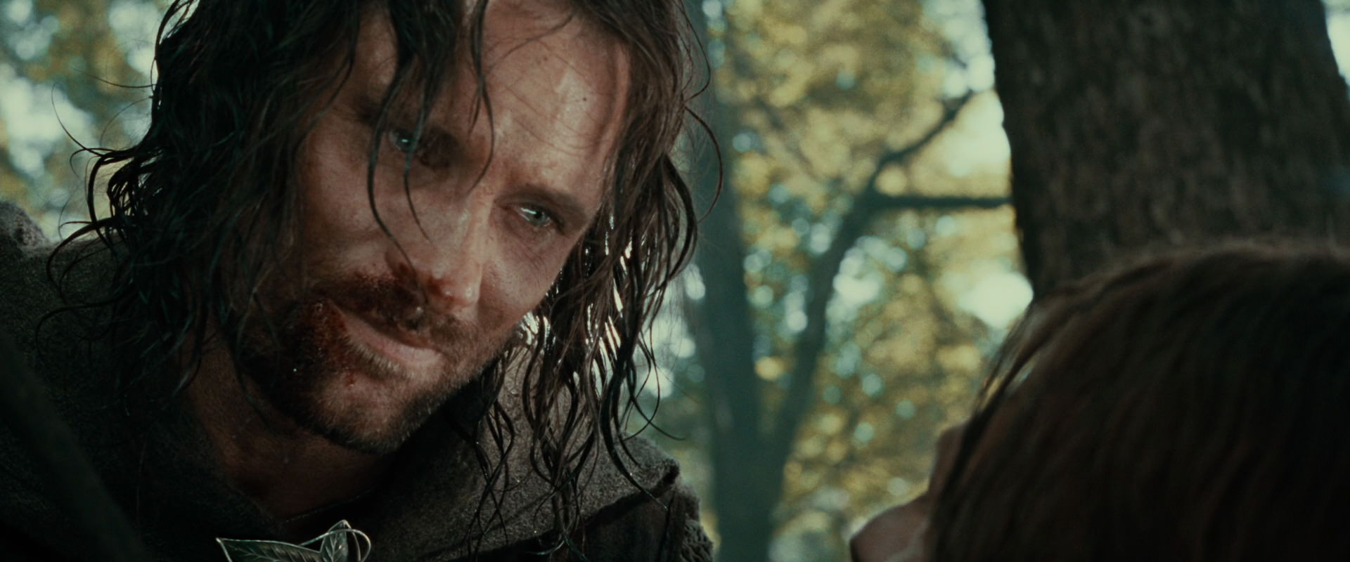 The Lord of the Rings: The Fellowship of the Ring (2001) screencap 22959