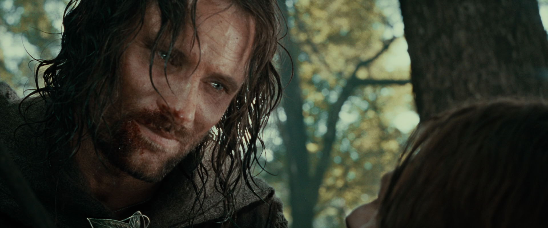 The Lord of the Rings: The Fellowship of the Ring (2001) movie still 22960