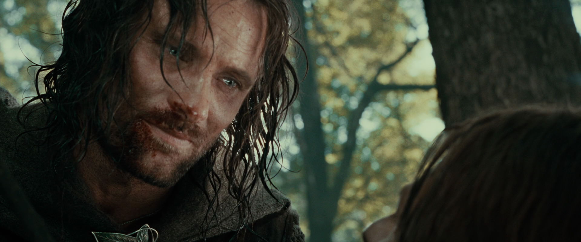 The Lord of the Rings: The Fellowship of the Ring (2001) HD screenshot 22961