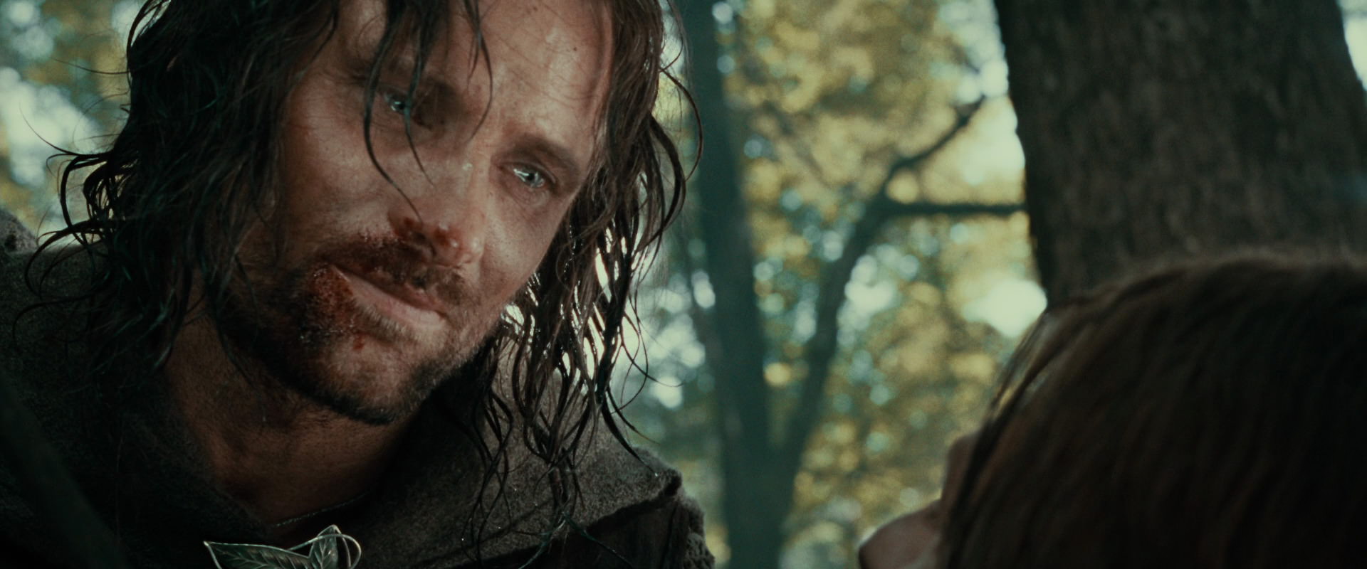 The Lord of the Rings: The Fellowship of the Ring (2001) screencap 22962