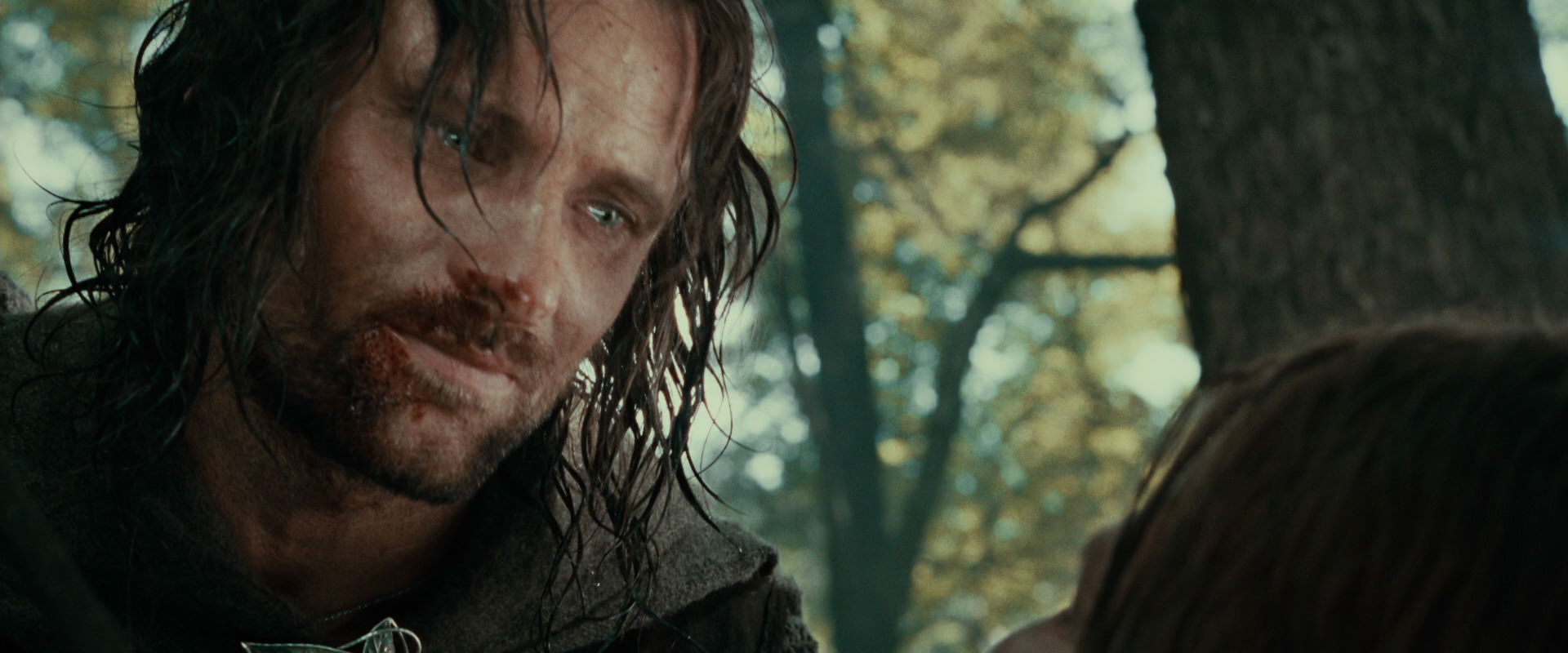 The Lord of the Rings: The Fellowship of the Ring (2001) movie still 22963