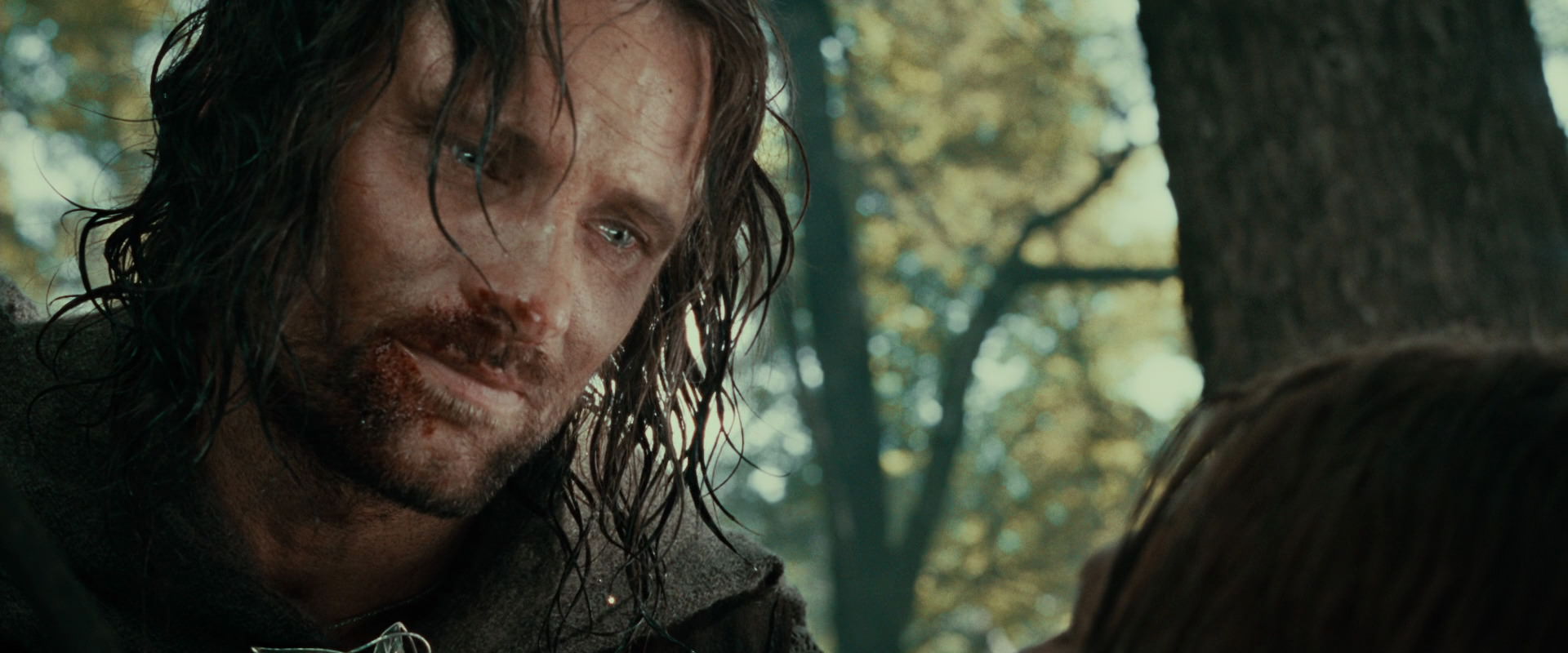 The Lord of the Rings: The Fellowship of the Ring (2001) HD screenshot 22964