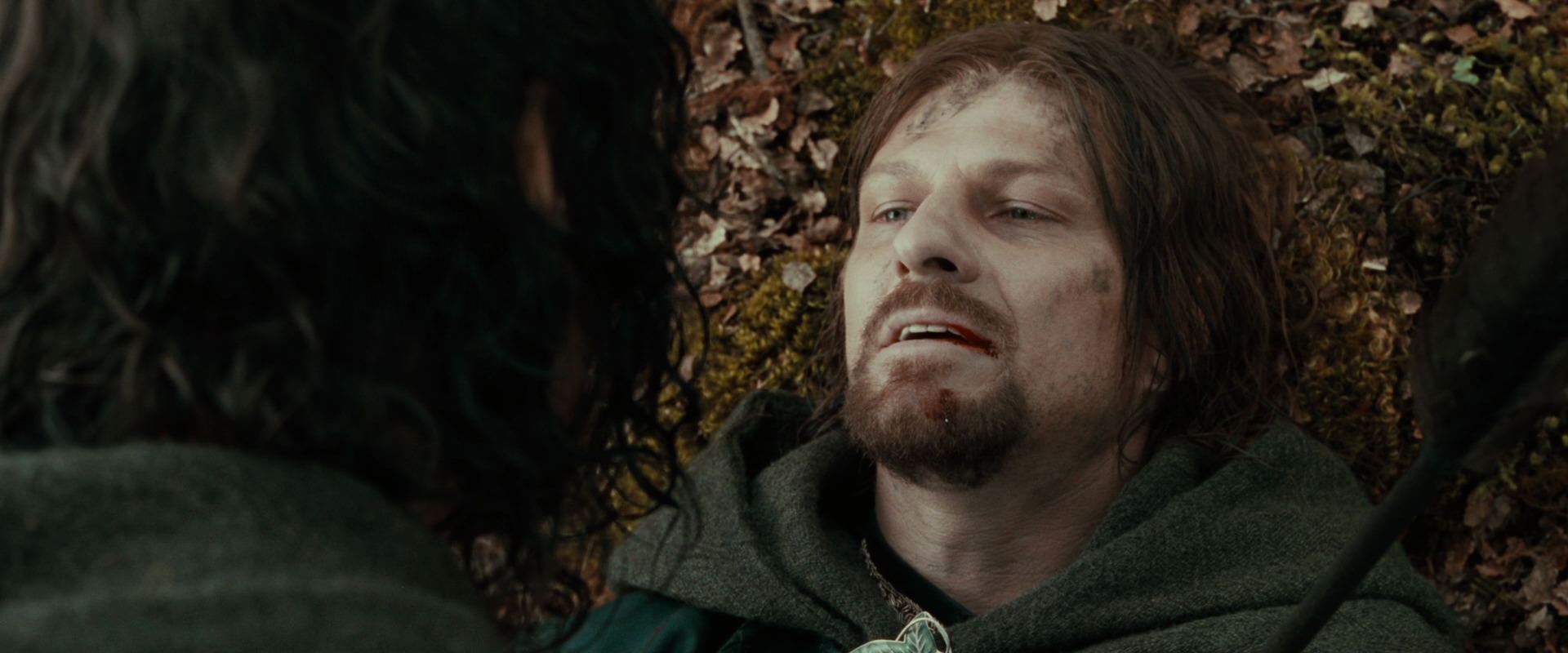 The Lord of the Rings: The Fellowship of the Ring (2001) HD screenshot 22970