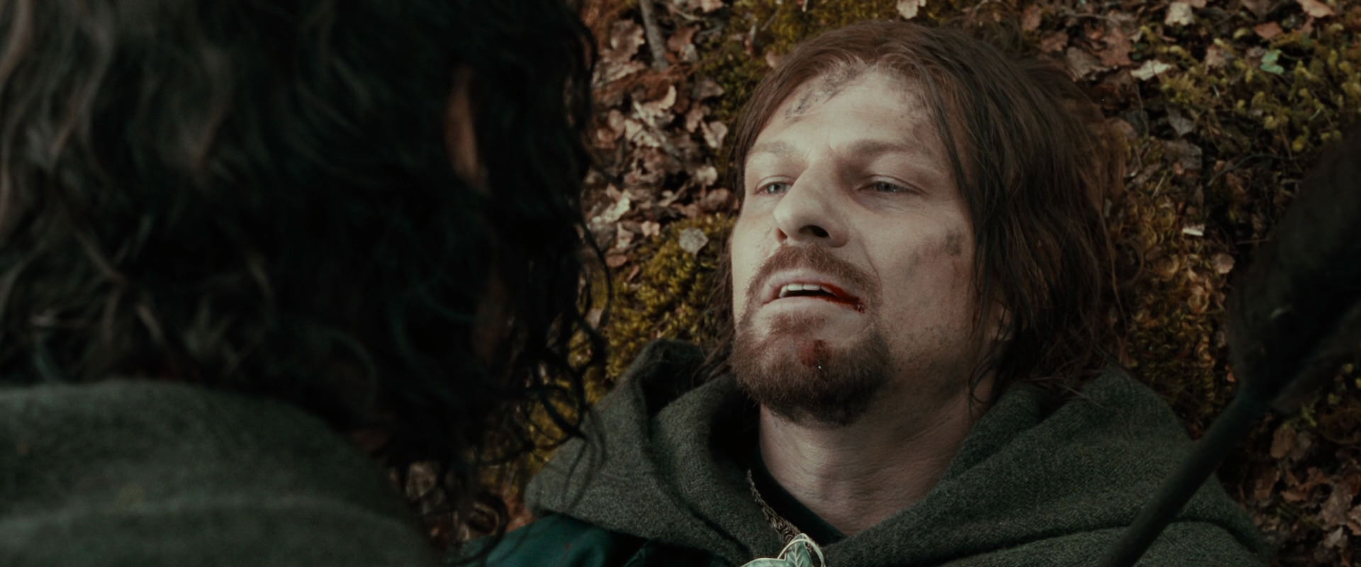 The Lord of the Rings: The Fellowship of the Ring (2001) screencap 22971
