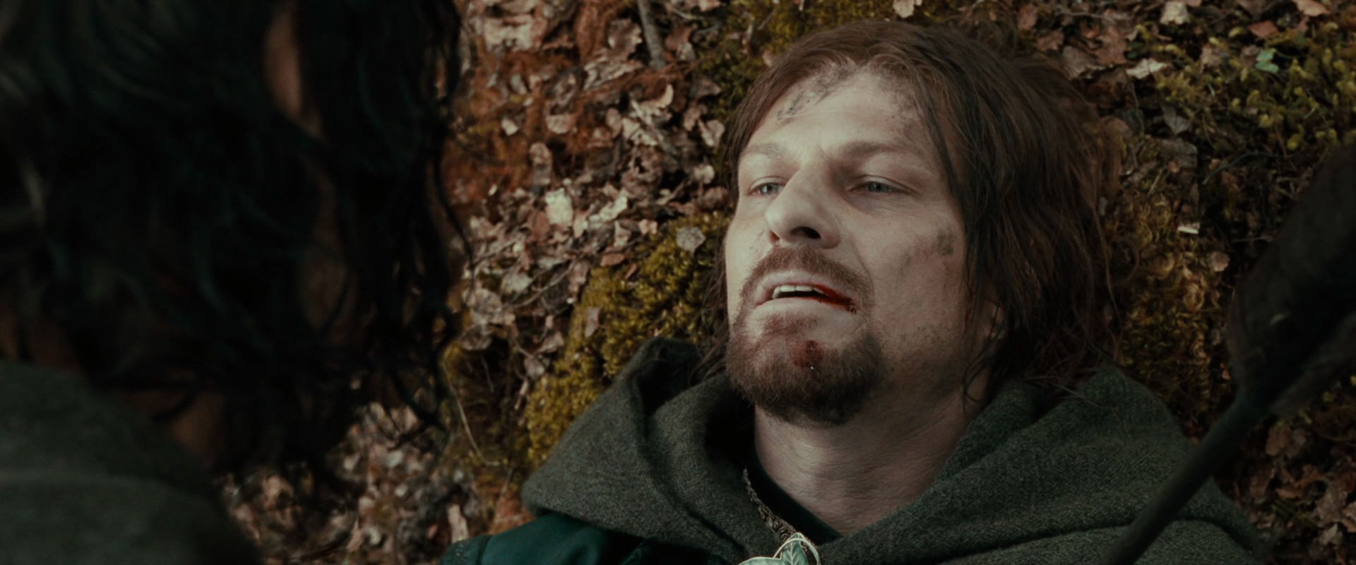 The Lord of the Rings: The Fellowship of the Ring (2001) screencap 22974