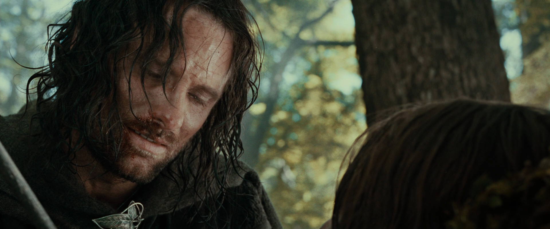 The Lord of the Rings: The Fellowship of the Ring (2001) screencap 22977