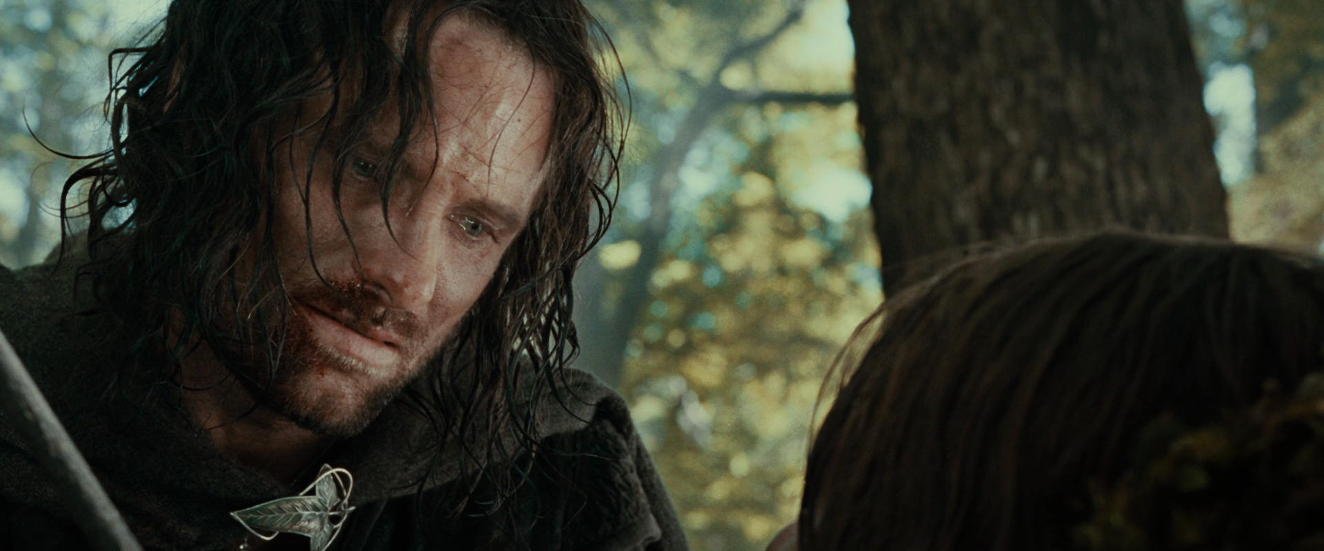 The Lord of the Rings: The Fellowship of the Ring (2001) HD screenshot 22979