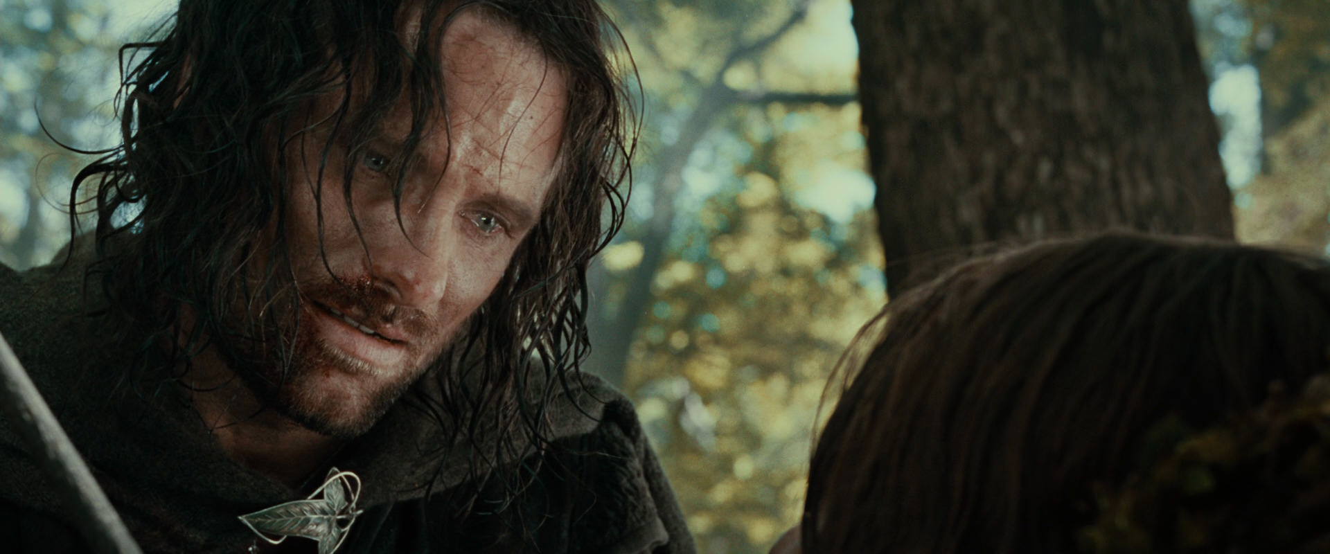 The Lord of the Rings: The Fellowship of the Ring (2001) screencap 22980