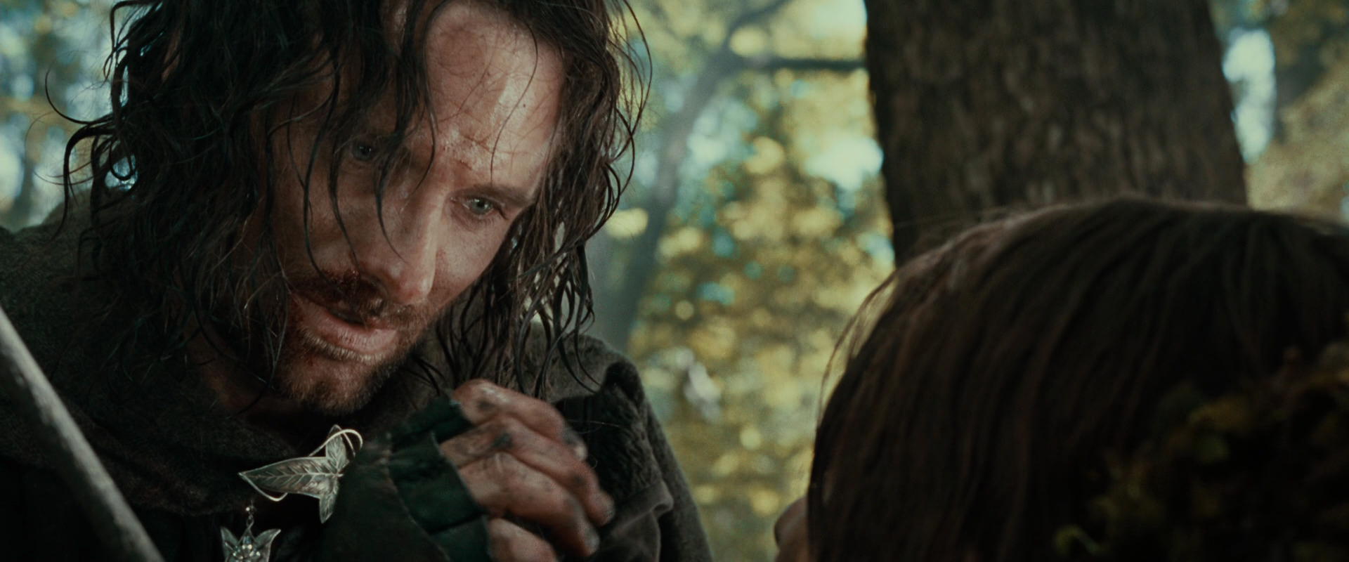 The Lord of the Rings: The Fellowship of the Ring (2001) HD screenshot 22988