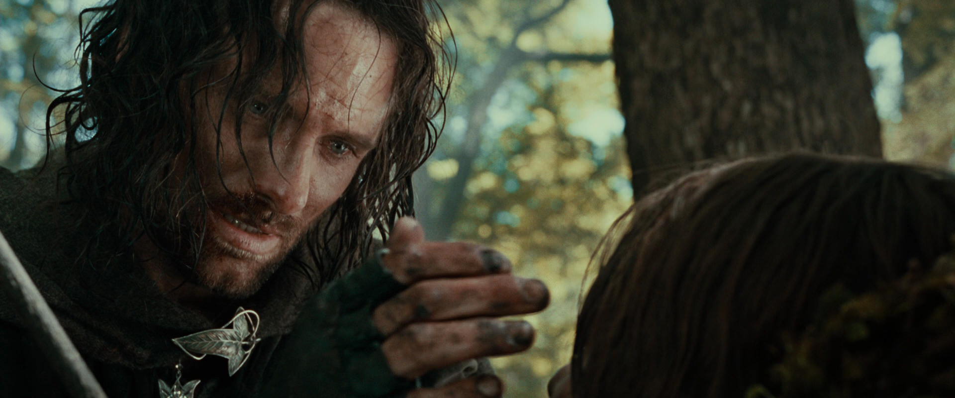The Lord of the Rings: The Fellowship of the Ring (2001) screencap 22989