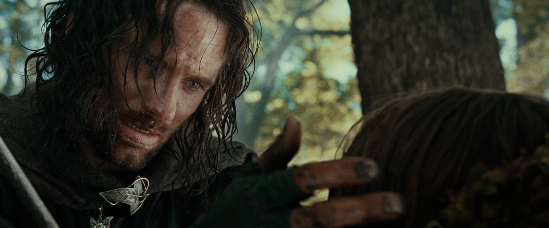 The Lord of the Rings: The Fellowship of the Ring (2001) movie still 22990